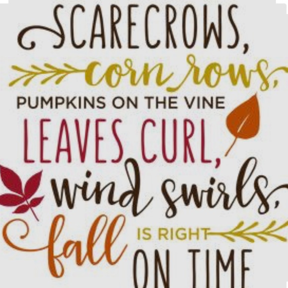 Plus Size Fall Specific Mystery Box or Reseller Inventory - Picture 9 of 15